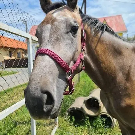 Maison d'hôtes Agro Privat