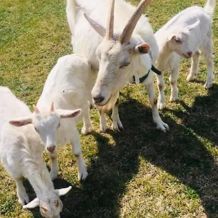 Agro Privat Hrabušice