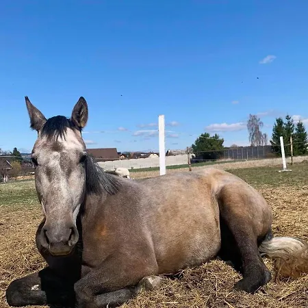 Agro Privat * Hrabušice