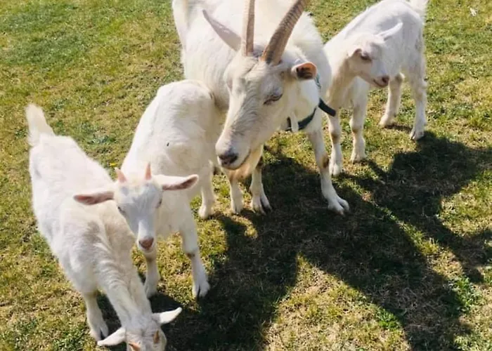 Agro Privat Hrabušice